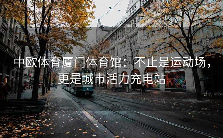 中欧体育厦门体育馆:不止是运动场,更是城市活力充电站 中欧体育厦门体育馆:不止是运动场,更是城市活力充电站