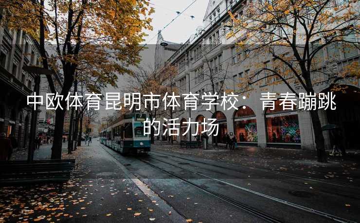 中欧体育昆明市体育学校：青春蹦跳的活力场