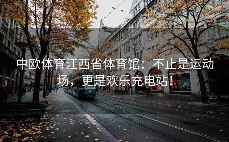 中欧体育江西省体育馆：不止是运动场，更是欢乐充电站！