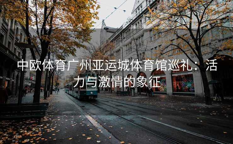 中欧体育广州亚运城体育馆巡礼：活力与激情的象征