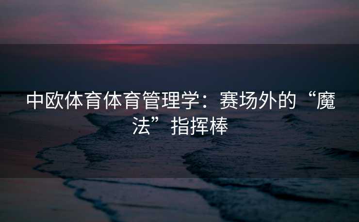 中欧体育体育管理学：赛场外的“魔法”指挥棒