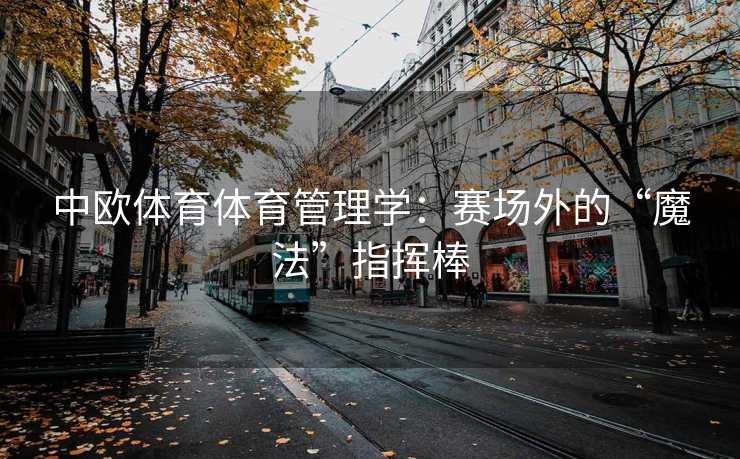 中欧体育体育管理学：赛场外的“魔法”指挥棒