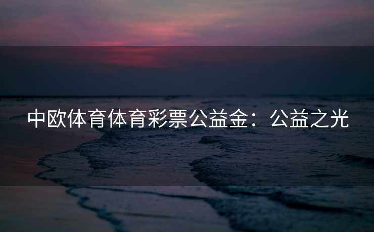 中欧体育体育彩票公益金:公益之光 中欧体育体育彩票公益金:公益之光