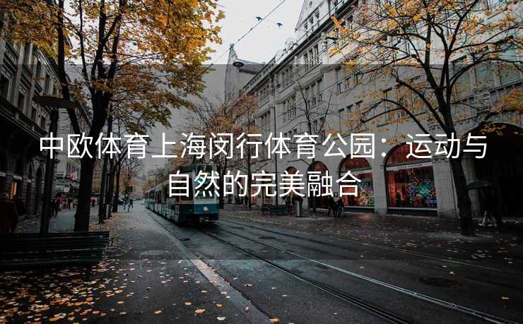 中欧体育上海闵行体育公园:运动与自然的完美融合 中欧体育上海闵行体育公园:运动与自然的完美融合