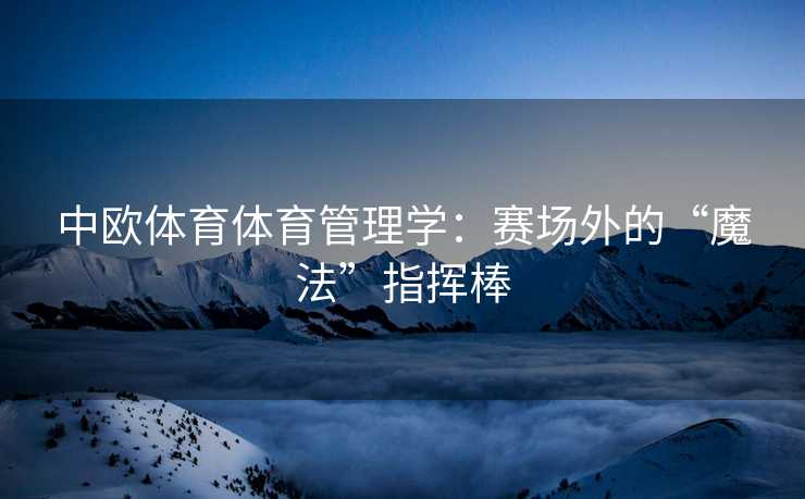 中欧体育体育管理学：赛场外的“魔法”指挥棒