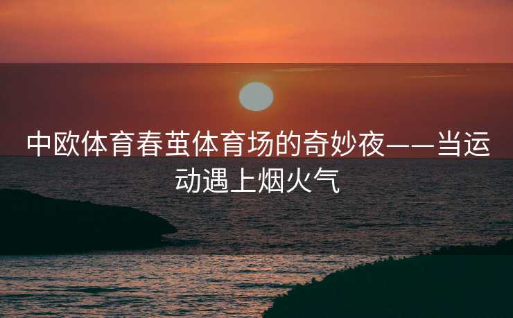 中欧体育春茧体育场的奇妙夜——当运动遇上烟火气