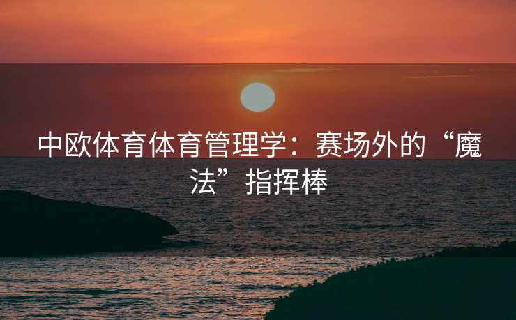 中欧体育体育管理学：赛场外的“魔法”指挥棒