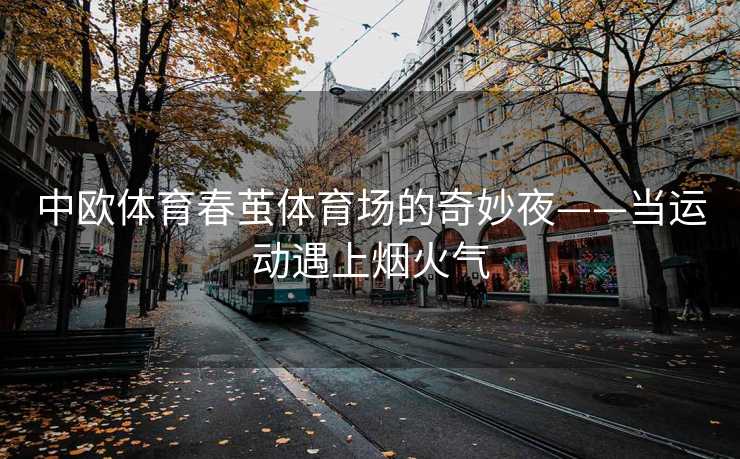 中欧体育春茧体育场的奇妙夜——当运动遇上烟火气