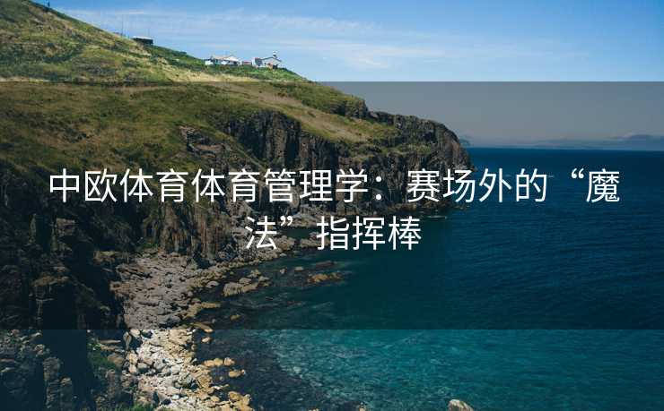 中欧体育体育管理学：赛场外的“魔法”指挥棒