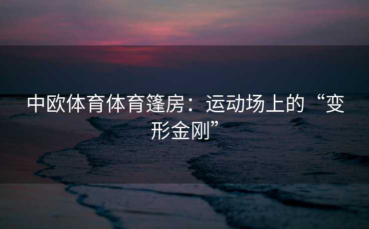 中欧体育体育篷房:运动场上的“变形金刚” 中欧体育体育篷房:运动场上的“变形金刚”