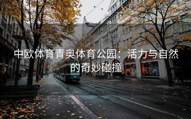 中欧体育青奥体育公园：活力与自然的奇妙碰撞