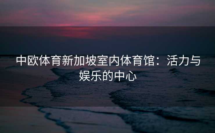 中欧体育新加坡室内体育馆：活力与娱乐的中心