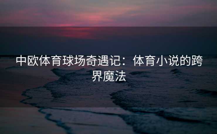中欧体育球场奇遇记：体育小说的跨界魔法