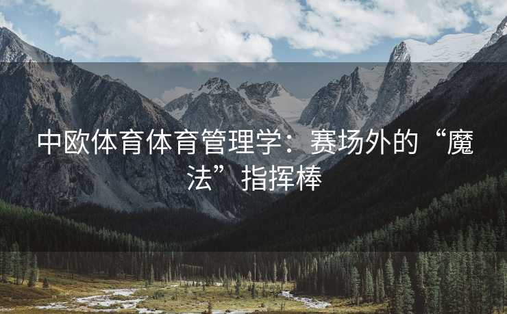 中欧体育体育管理学：赛场外的“魔法”指挥棒