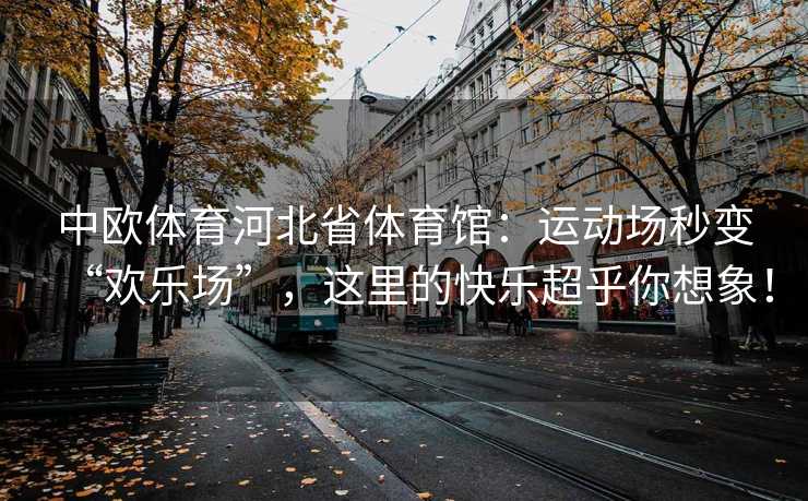 中欧体育河北省体育馆：运动场秒变“欢乐场”，这里的快乐超乎你想象！