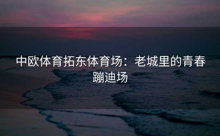 中欧体育拓东体育场：老城里的青春蹦迪场