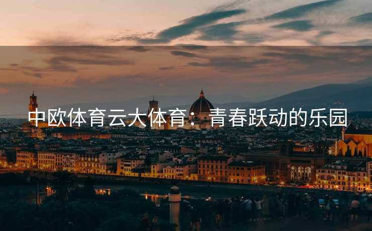 中欧体育云大体育：青春跃动的乐园