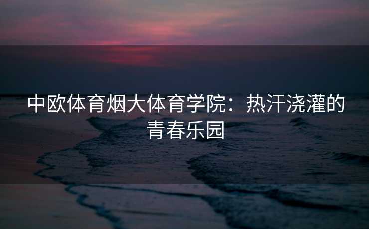 中欧体育烟大体育学院：热汗浇灌的青春乐园