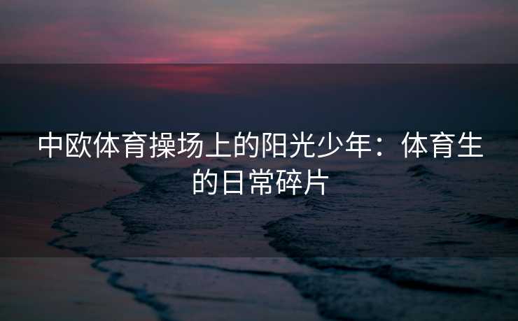 中欧体育操场上的阳光少年：体育生的日常碎片