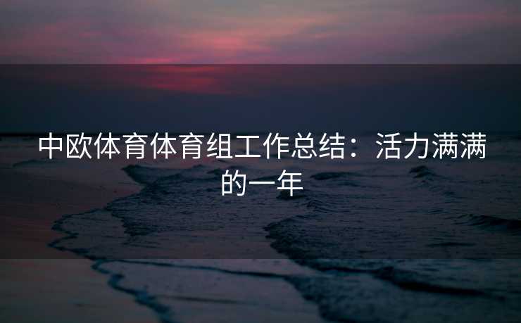 中欧体育体育组工作总结：活力满满的一年