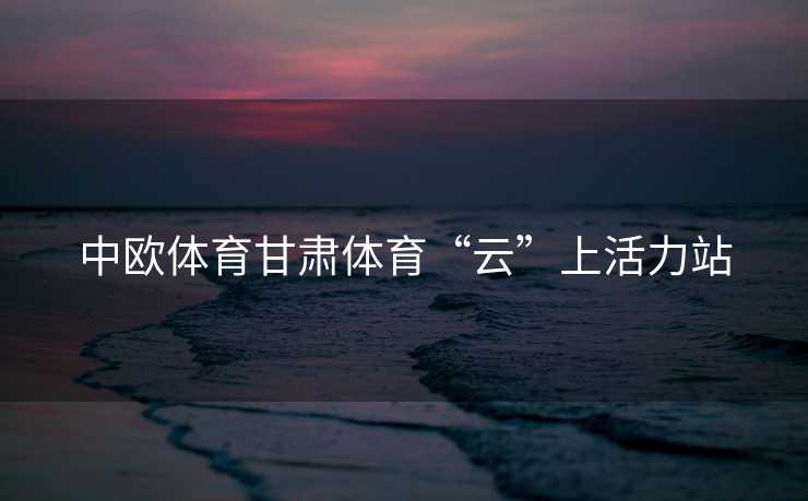 中欧体育甘肃体育“云”上活力站