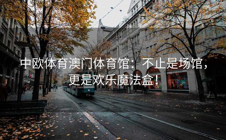 中欧体育澳门体育馆：不止是场馆，更是欢乐魔法盒！