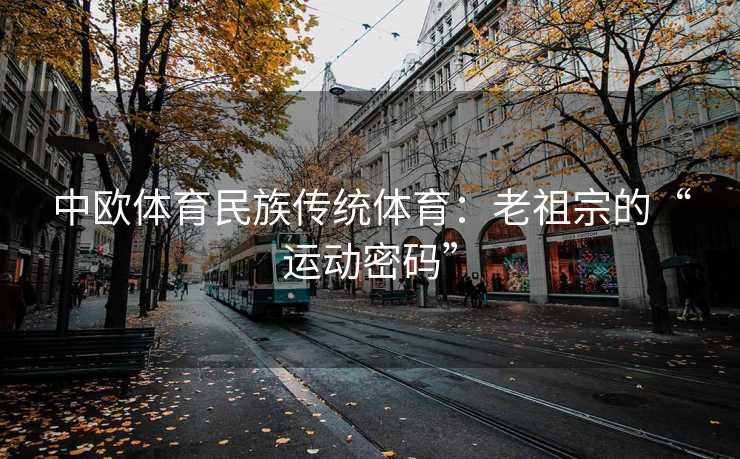 中欧体育民族传统体育：老祖宗的“运动密码”