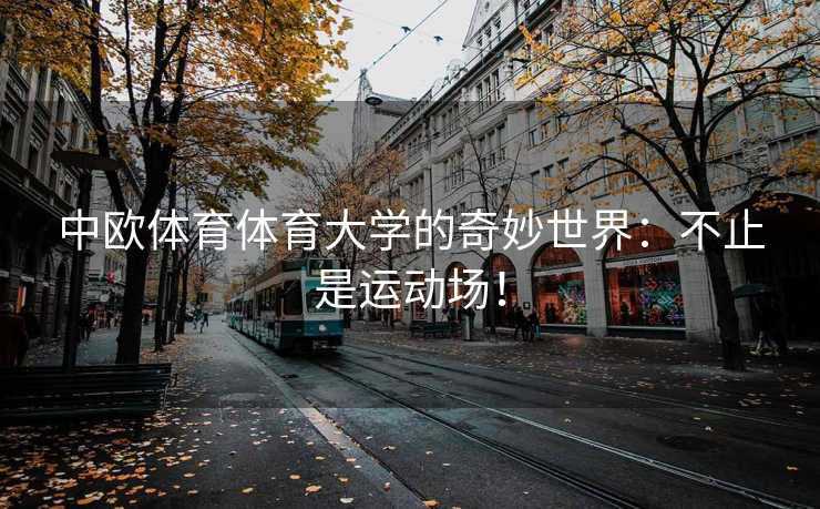 中欧体育体育大学的奇妙世界：不止是运动场！
