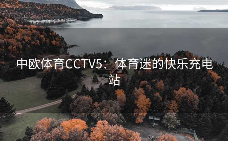 中欧体育CCTV5：体育迷的快乐充电站