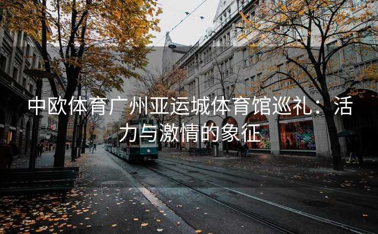 中欧体育广州亚运城体育馆巡礼：活力与激情的象征