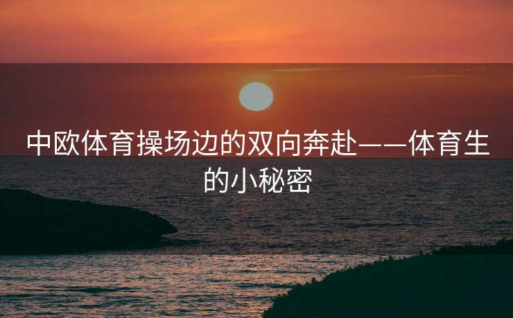 中欧体育操场边的双向奔赴——体育生的小秘密