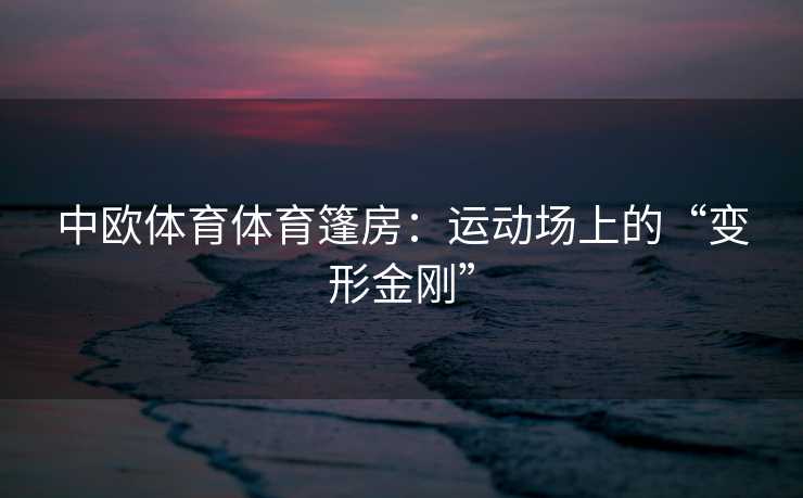 中欧体育体育篷房:运动场上的“变形金刚” 中欧体育体育篷房:运动场上的“变形金刚”