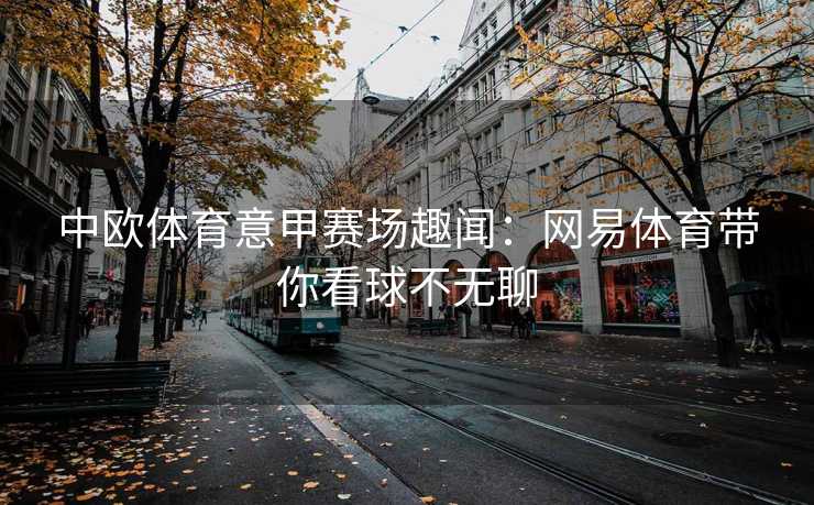中欧体育意甲赛场趣闻：网易体育带你看球不无聊