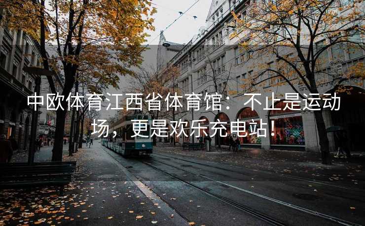 中欧体育江西省体育馆：不止是运动场，更是欢乐充电站！