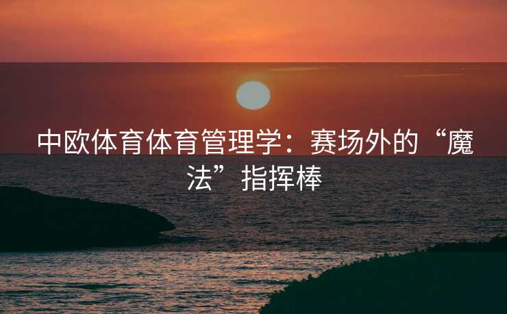 中欧体育体育管理学：赛场外的“魔法”指挥棒