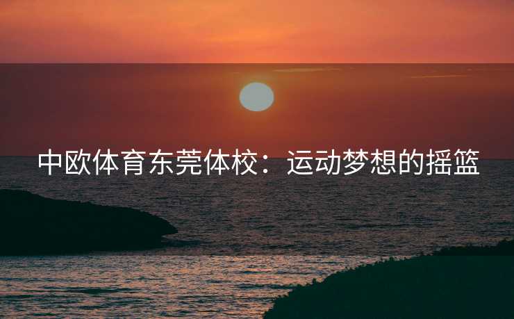 中欧体育东莞体校：运动梦想的摇篮