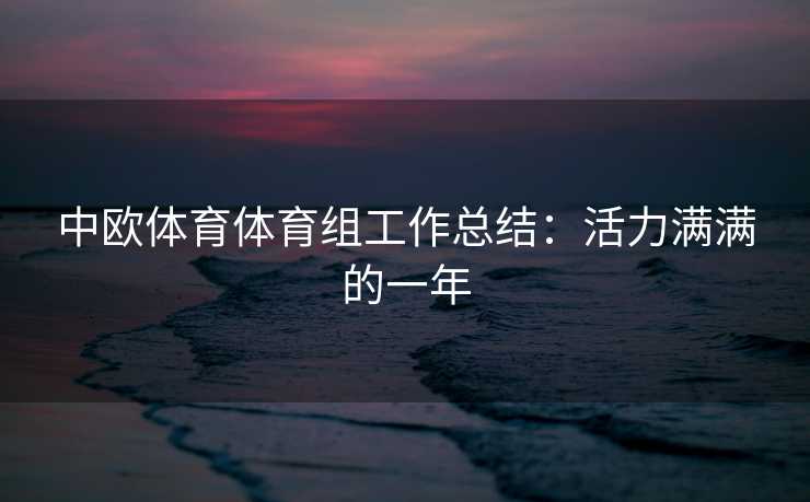 中欧体育体育组工作总结：活力满满的一年