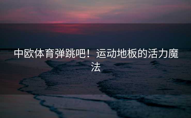 中欧体育弹跳吧！运动地板的活力魔法