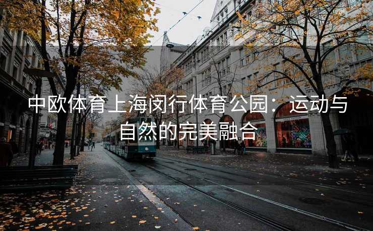 中欧体育上海闵行体育公园：运动与自然的完美融合