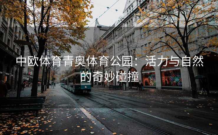 中欧体育青奥体育公园：活力与自然的奇妙碰撞