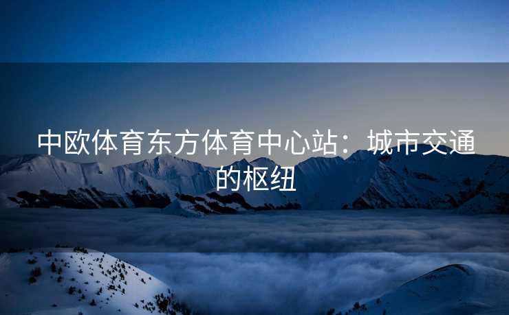 中欧体育东方体育中心站:城市交通的枢纽 中欧体育东方体育中心站:城市交通的枢纽