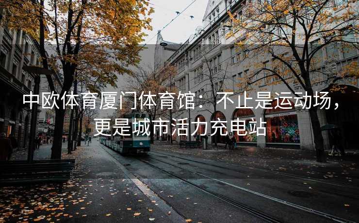 中欧体育厦门体育馆：不止是运动场，更是城市活力充电站