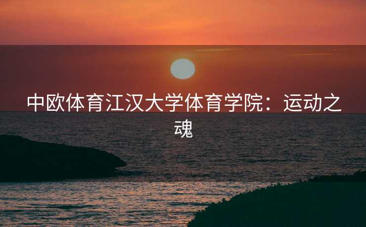 中欧体育江汉大学体育学院:运动之魂 中欧体育江汉大学体育学院:运动之魂