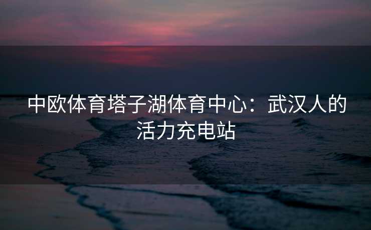 中欧体育塔子湖体育中心：武汉人的活力充电站